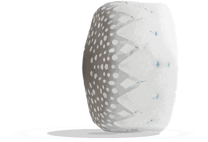 The Conformal Medical CLAAS LAA closure device